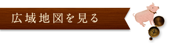 広域地図を見る